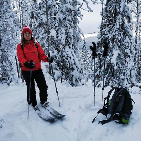 Guesthouse Koli Freetime Ahmovaara Екстер'єр фото