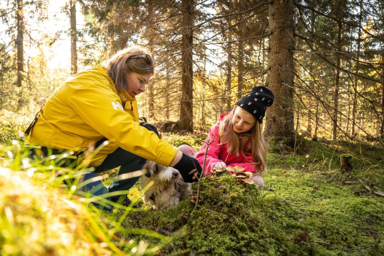 Guesthouse Koli Freetime Ahmovaara Екстер'єр фото
