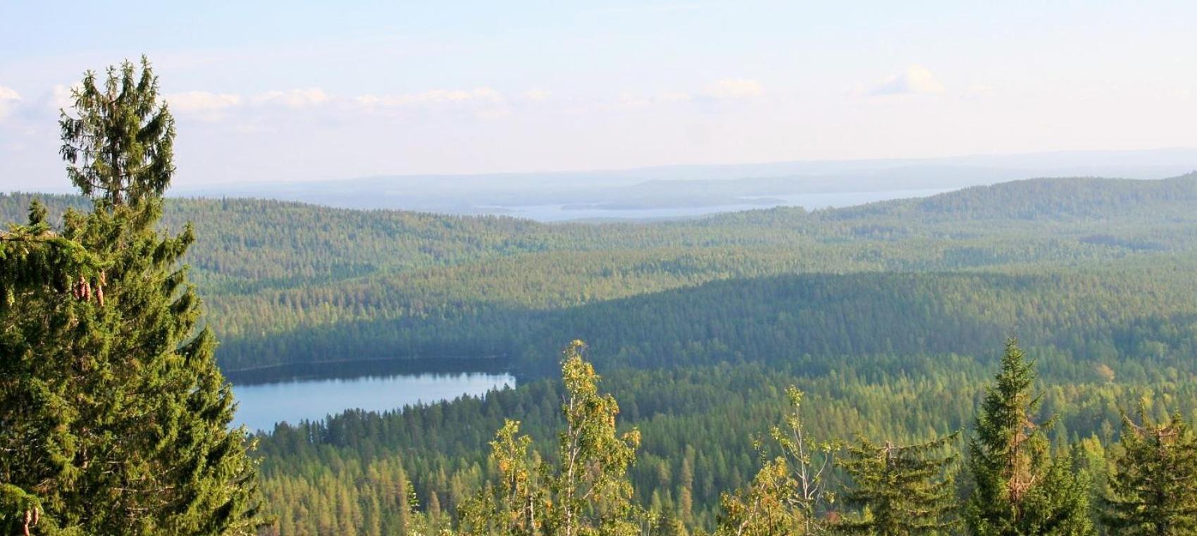 Guesthouse Koli Freetime Ahmovaara Екстер'єр фото