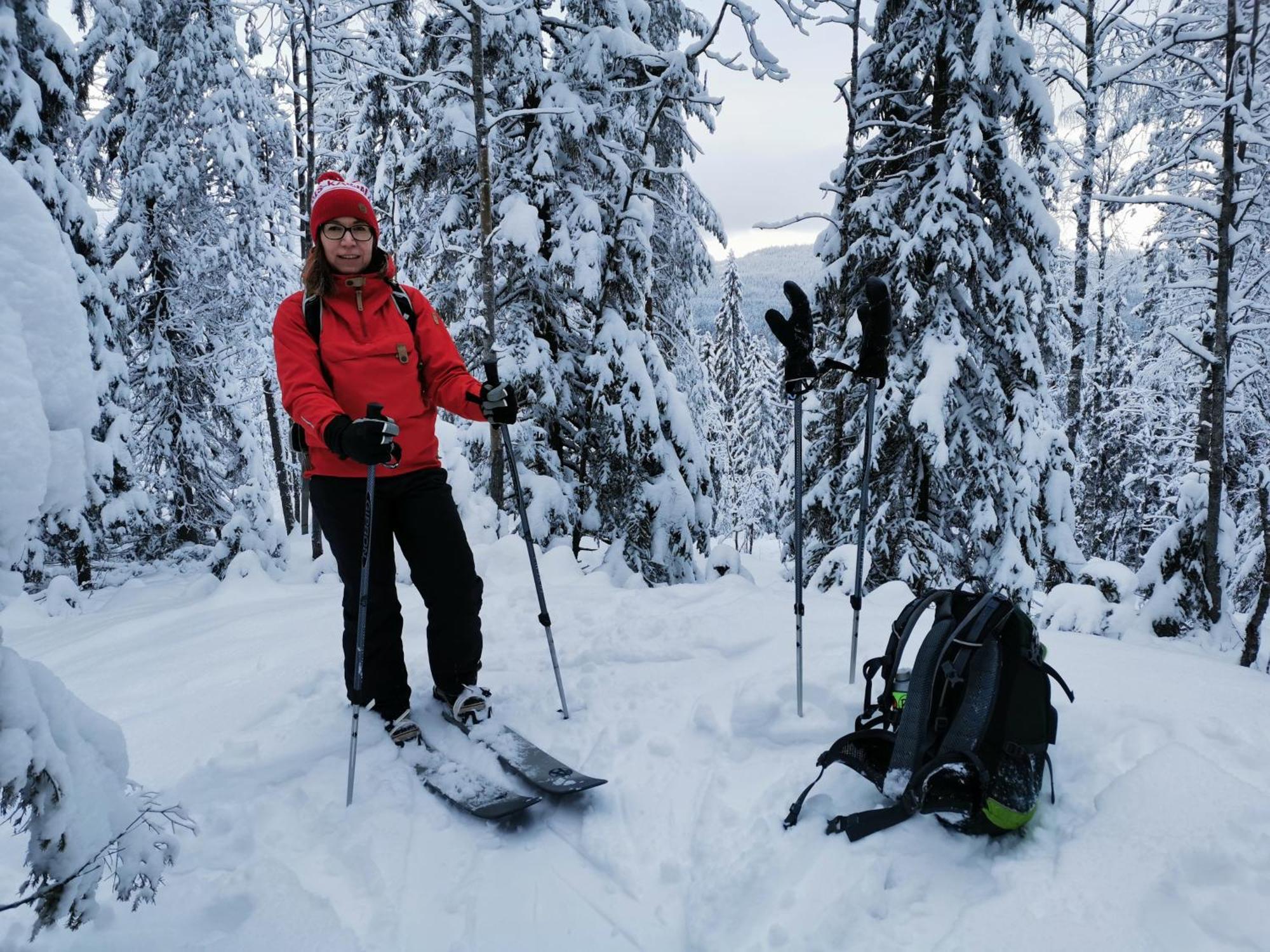 Guesthouse Koli Freetime Ahmovaara Екстер'єр фото