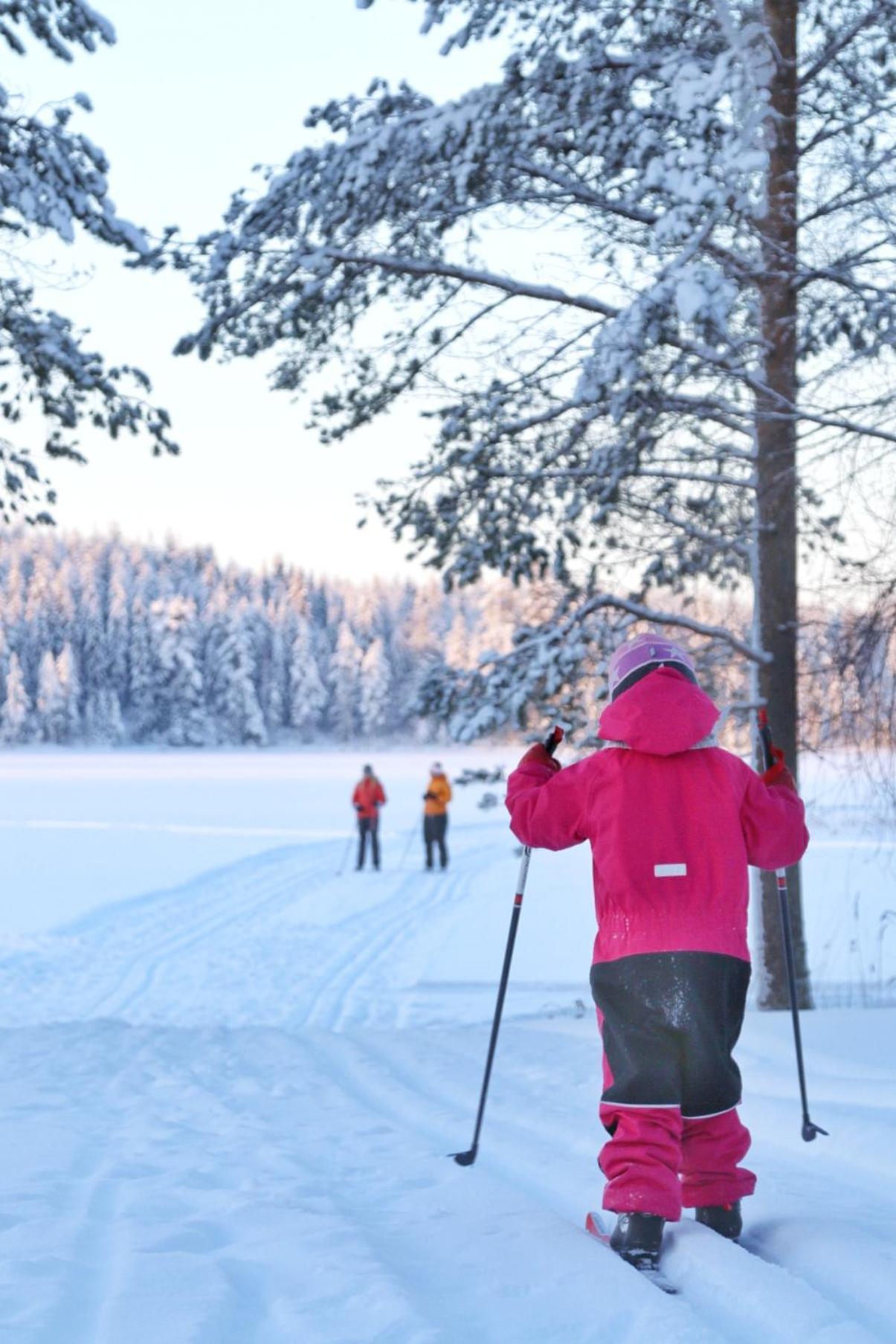Guesthouse Koli Freetime Ahmovaara Екстер'єр фото