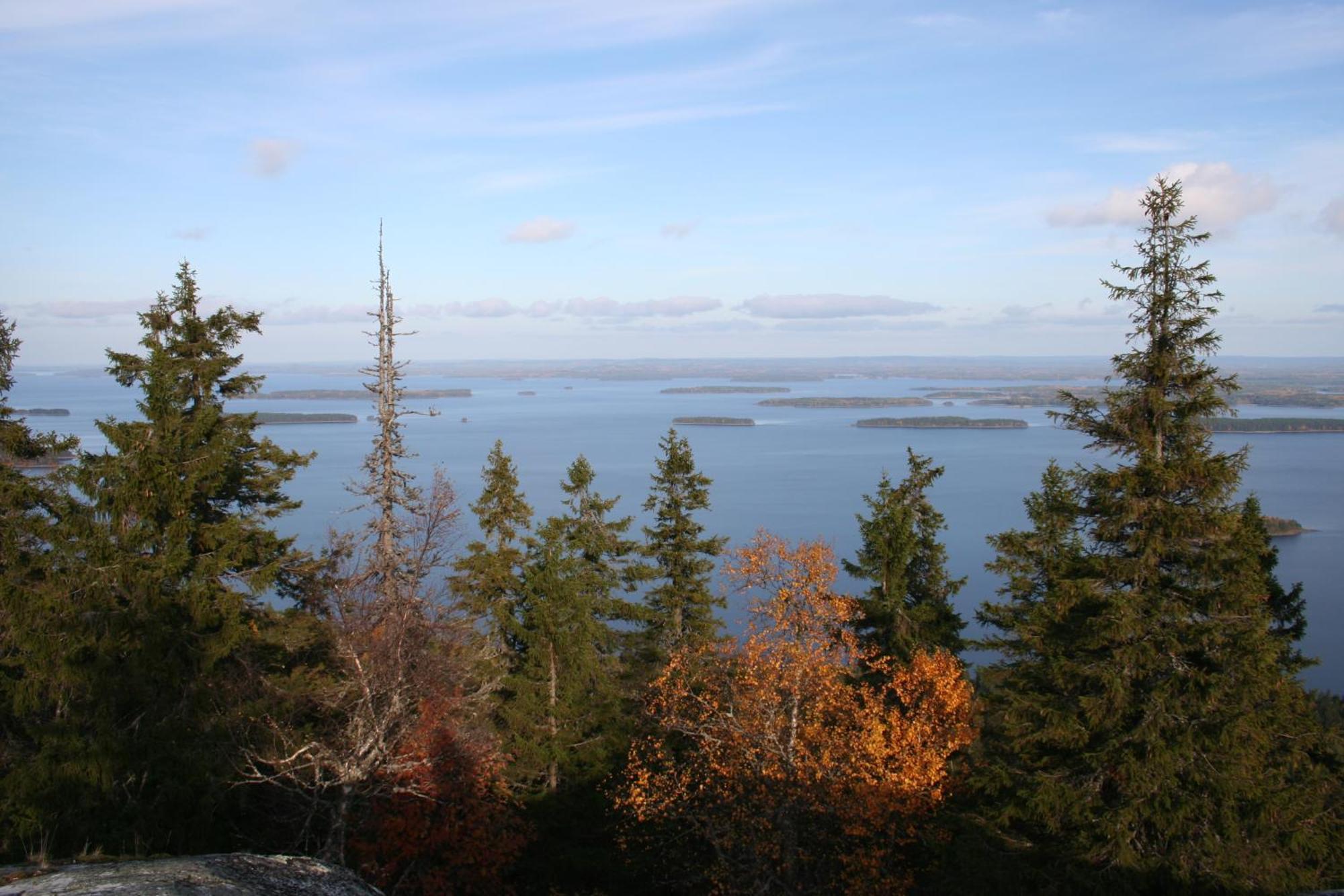 Guesthouse Koli Freetime Ahmovaara Екстер'єр фото