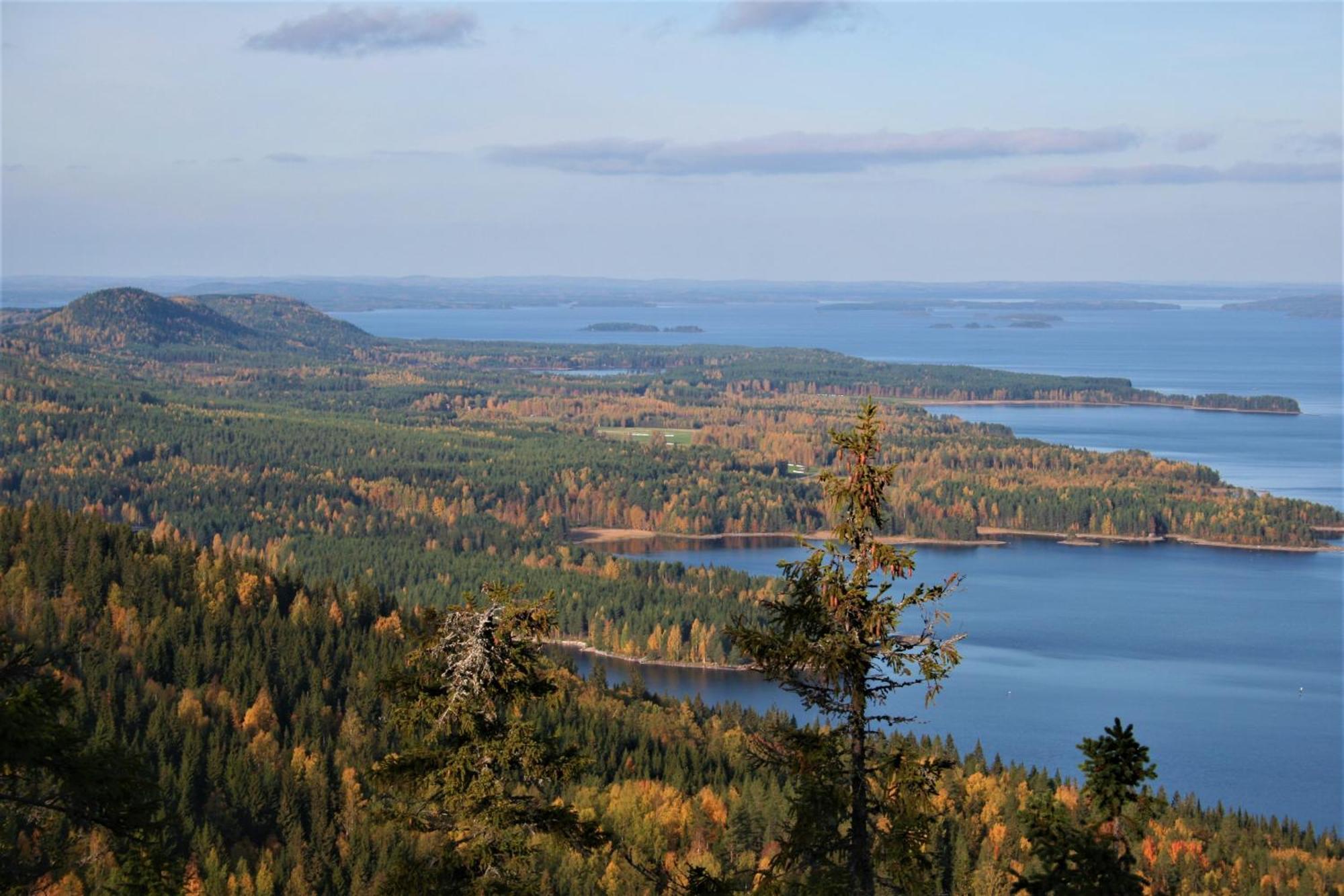 Guesthouse Koli Freetime Ahmovaara Екстер'єр фото